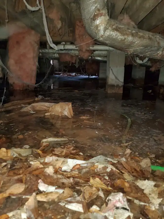 Crawl space flood assessment for Leak Detection & Repair in Fremont