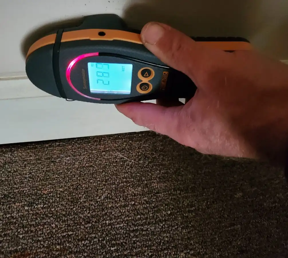 Moisture detection at baseboard during Mold Inspection & Testing in Fremont